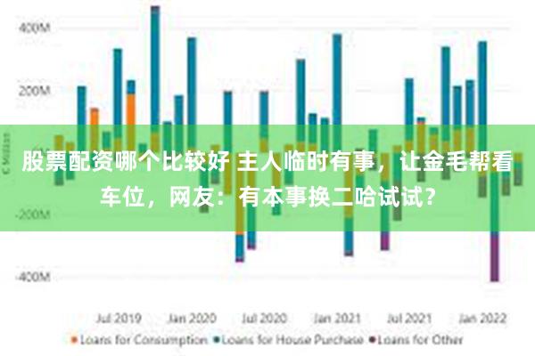 股票配资哪个比较好 主人临时有事，让金毛帮看车位，网友：有本事换二哈试试？