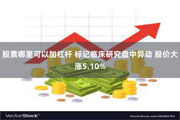 股票哪里可以加杠杆 标记临床研究盘中异动 股价大涨5.10%