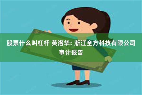 股票什么叫杠杆 英洛华: 浙江全方科技有限公司审计报告