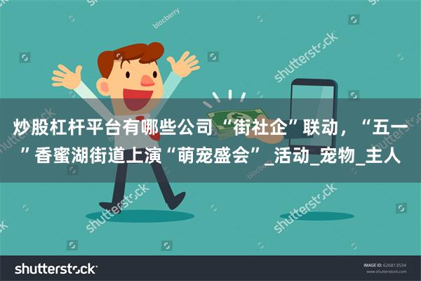 炒股杠杆平台有哪些公司 “街社企”联动，“五一”香蜜湖街道上演“萌宠盛会”_活动_宠物_主人